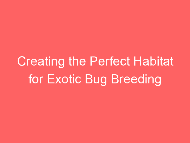 Creating the Perfect Habitat for Exotic Bug Breeding