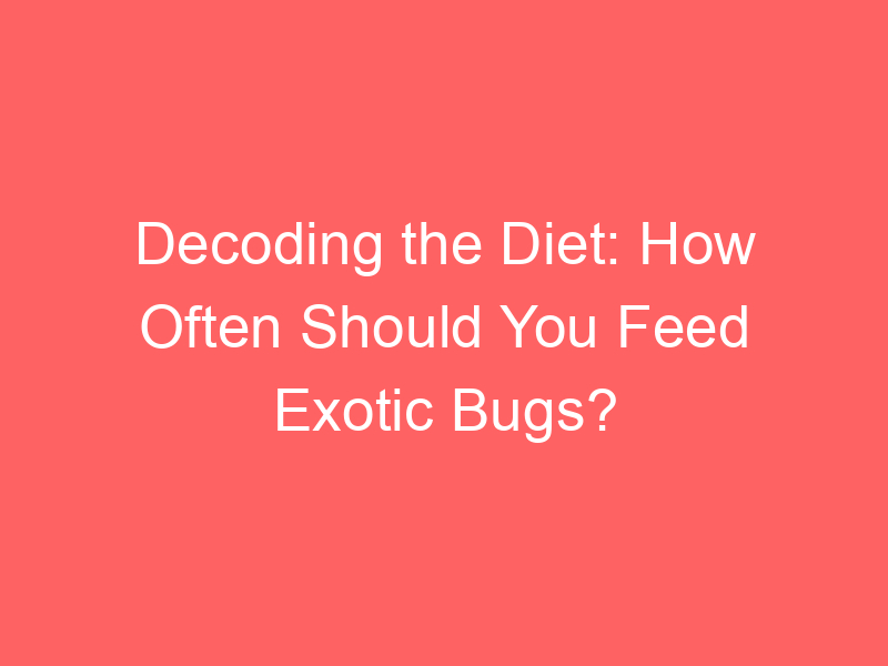 Decoding the Diet: How Often Should You Feed Exotic Bugs?