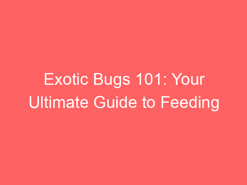 Exotic Bugs 101: Your Ultimate Guide to Feeding