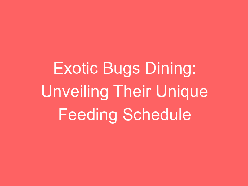 Exotic Bugs Dining: Unveiling Their Unique Feeding Schedule