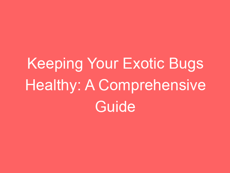 Keeping Your Exotic Bugs Healthy: A Comprehensive Guide