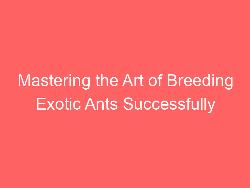 Mastering the Art of Breeding Exotic Ants Successfully