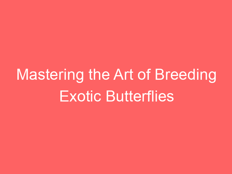 Mastering the Art of Breeding Exotic Butterflies