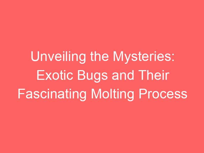 Unveiling the Mysteries: Exotic Bugs and Their Fascinating Molting Process