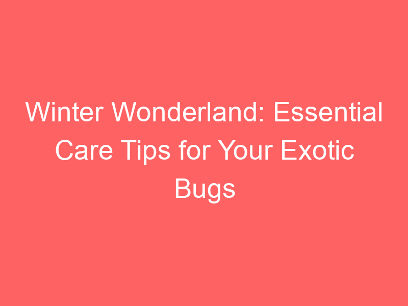 Winter Wonderland: Essential Care Tips for Your Exotic Bugs